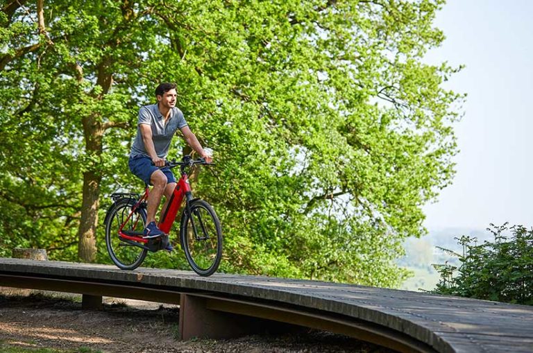 Beratung Kauf ElektroFahrrad Gazelle Birkenstock der